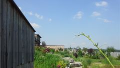 Na zahrad� u domu má Roman Bo�ek také jezírko