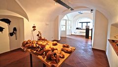 Galerie zahajuje sérii výstav �t�pánem R��i�kou