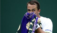Lukáš Rosol ve Wimbledonu 2013. | na serveru Lidovky.cz | aktuální zprávy