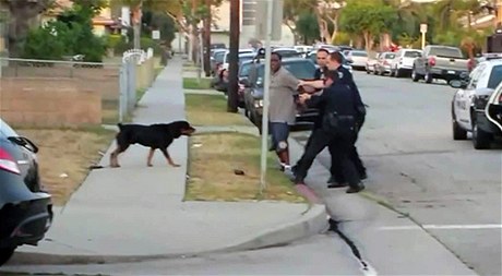 V kalifornském Hawthorne policisté zastelili psa.