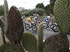 Tour de France, ve lutém je lídr závodu Australan Simon Gerrans