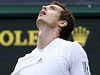 Murray se na postup do semifinále Wimbledonu nadel. Verdasca pehrál v pti setech.