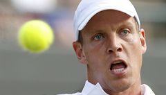 eský tenista Tomá Berdych