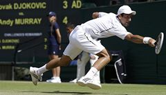 Srbský tenista Novak Djokovi�