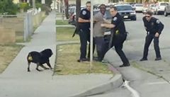 Amerití policisté zatkli Rosbyho a zastelili jeho psa