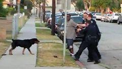 V kalifornském Hawthorne policisté zastelili psa.