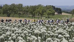 8. etapa Tour de France