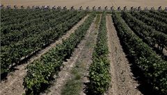 8. etapa Tour de France