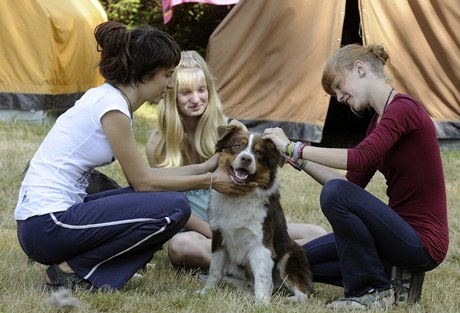 Dívky ošetřují psa. 