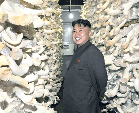 Kim ong-un v houbové laboratoi.