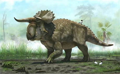 Nasutoceratops titusi 