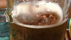 Trik s 0,47 litru piva hospodu U Pinkasů od pokuty za podmíru neuchránil