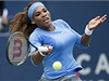 Americká tenistka Serena Willamsová