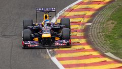 Nmecký závodník formule 1 Sebastian Vettel ze stáje Red Bull