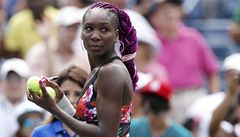 Americká tenistka Venus Williamsová | na serveru Lidovky.cz | aktuální zprávy