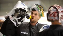 Čeští hokejisté nastoupí proti Finsku se Salákem v brance