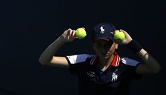 Tenisový podava� mí�k� - ilustra�ní foto