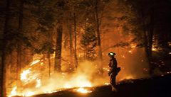 Kalifornii suuje rozshl lesn por, vyhlsila stav ohroen