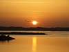 Kýovitý pohled na jezero, památku a vycházející slunce, skrz které prolétává hejno pták