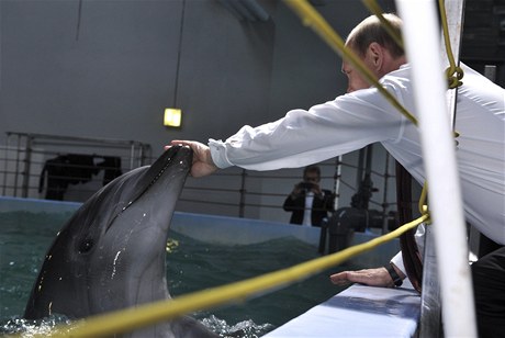 Vladimir Putin pózoval fotografm. Fotil se pi krmení a hlazení delfín.