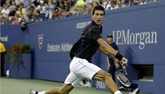 Srbský tenista Novak Djokovi