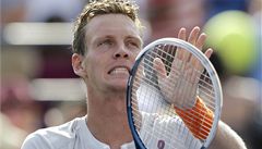 Tomá Berdych