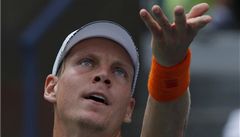 Tomá Berdych