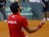 Tipsarevi slaví postup do finále Davis Cupu.