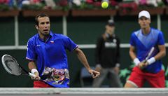 Tomá� Berdych a Radek �t�pánek b�hem �ty�hry p�i semifinále Davis Cupu.