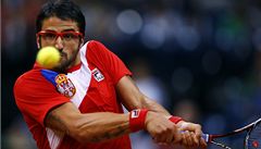 Janko Tipsarevi� p�i Davis Cupu.