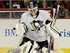 Branká hokejist Pittsburghu Penguins Tomá Vokoun