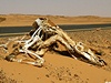 Expedice All Africa: Súdán. podél cest je moné vidt stovky mrtvých velbloud, krav a oslík.