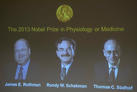 Nobelovu cenu za lékaství získala trojice vdc za výzkum bunk - James E. Rothman, Randy W Schekman, Thomas C. Südhof.