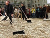 lenové hnutí za veobecný základní nepodmínný píjem vysypali ped sídlem parlamentu v Bernu osm milion pticentových mincí o váze 15 tun.