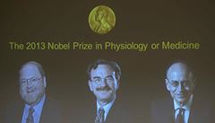 Nobelovu cenu za lékařství získala trojice vědců za výzkum buněk