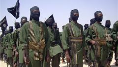 Šabáb ovládal 80 procent Somálska. Prosazuje právo šaría nebo bičování