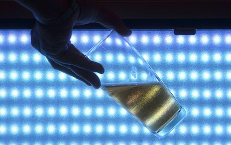 Vzorek piva pozorovaný v modrém svtle v degustaní místnosti Výzkumného senzorického centra. Je ureno k senzorickému a laboratornímu výzkumu, vývoji a testování potravin