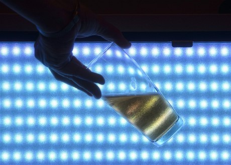 Vzorek piva pozorovaný v modrém světle v degustační místnosti Výzkumného senzorického centra. Je určeno k senzorickému a laboratornímu výzkumu, vývoji a testování potravin