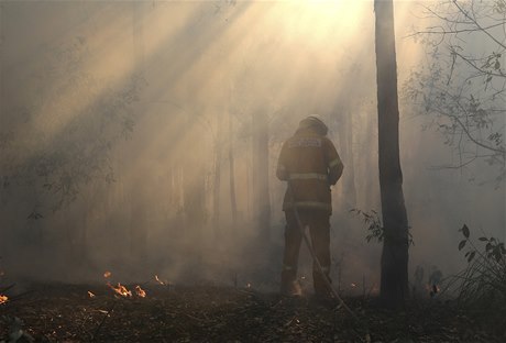 V Austrálii u shoelo pes 120 000 hektar porostu