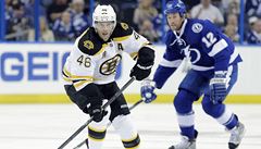 eský hokejista Bostonu Bruins David Krejí