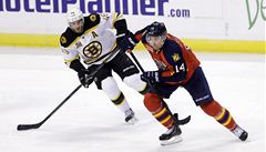 eský hokejista Bostonu Bruins David Krejí (vlevo) a Tomá Fleischmann z Floridy Panthers