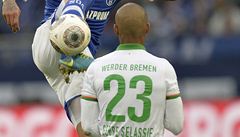 �eský fotbalista Werderu Brémy Theodor Gebre Selassie (vp�edu)