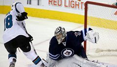Hokejista San Jose Sharks Tomá� Hertl a branká� Winnipegu Jets Ond�ej Pavelec
