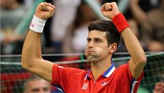 Djokovi� slaví vít�zství nad �t�pánkem.