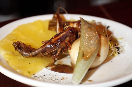 Na jídelníku je tak napíklad obí korpion na erném korejském esneku s paprikami, kobylky na takzvaných ústiných listech (listech plícnnky) a kepelích vajíkách, ervi mezi koleky avokád a speciálních brambor.