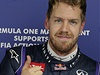 Nmeck pilot formule 1 Sebastian Vettel z Red Bullu