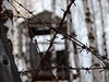 Bývalý sovtský gulag na Sibii