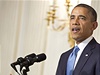 Americký prezident Barack Obama hovoí o enevské dohod (Bílý dm, 23. 11. 2013)