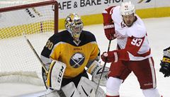 Branká hokejist Buffala Sabres Ryan Miller (vlevo) a Johan Franzen z Detroitu Red Wings