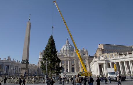 Na Svatopetrském námstí ve Vatikánu stojí tradiní vánoní strom, symbol esko-nmeckého pátelství